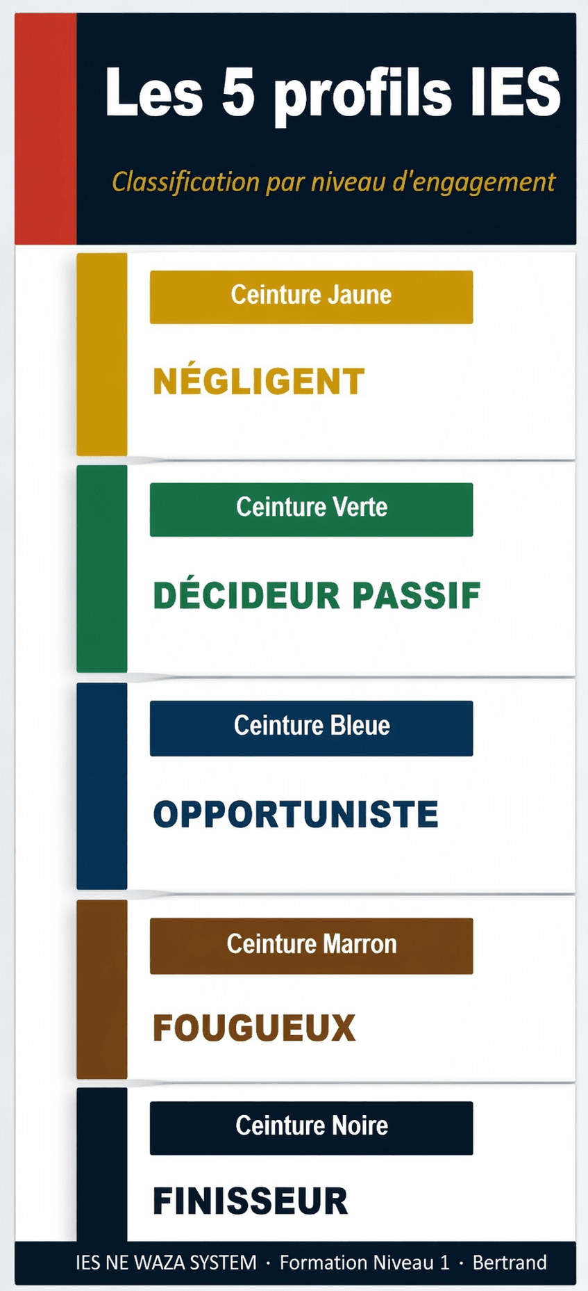Les 5 profils comportementaux du système IES